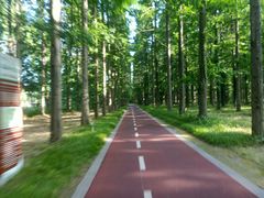 -黄海国家森林公园