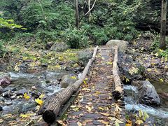 -云岫谷游猎自然风景区