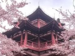 -西安青龙寺遗址景区