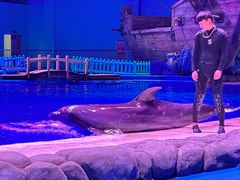 -华夏文旅海洋公园