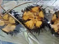 -宾朋海鲜饭庄(兴海路店)