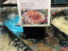 -盒马鲜生(金桥国际广场店)