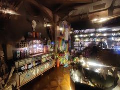-雪灵魔法世界SHELLY’S TAROT(大良桂畔里店)