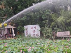 -茯茶镇