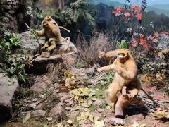 -陕西自然博物馆