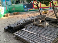 -常州淹城野生动物世界
