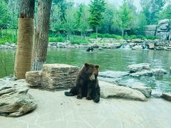 -北京野生动物园