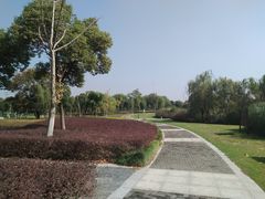 -九里河湿地公园