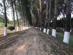 -东郊湿地公园