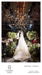 -格乐利雅婚礼艺术中心(南外滩店)