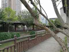 -龙潭水乡
