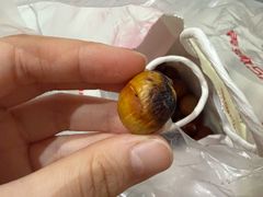 -杨记板栗(天虹总店)