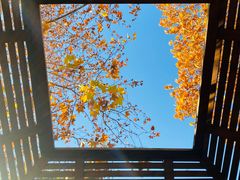 -春晖园度假酒店温泉