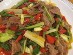 -曾牛肉