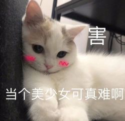 -银座Calla日式美容沙龙