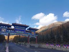 -塞罕坝国家级自然保护区