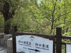 -崂山仰口游览区