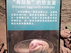 -辽宁古生物博物馆