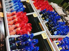 -猫咪博物馆(顶澳仔猫街店)