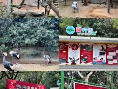 -宁波野生动物园