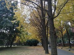 -西南交通大学(九里校区)