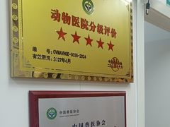 -瑞派中心宠物医院·CT·核磁·神经专科
