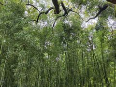-兰亭风景区