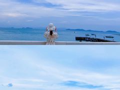 -杨梅坑