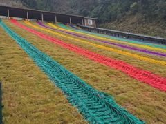 -梦幻奥陶纪景区