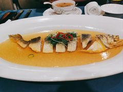 东海生态大黄鱼-麟1929(外滩店)