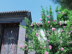 -阳台山自然风景区