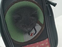 -特一安24小时宠物医院·骨科·中兽医