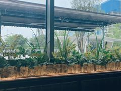 -蛙兔鸡自贡风味·特色江湖菜(广都店)