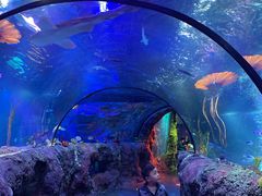 -沈阳海洋探索中心