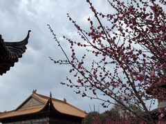 -宝通禅寺