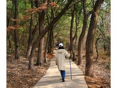 -青龙山国家森林公园