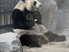 -苏州太湖国家湿地公园