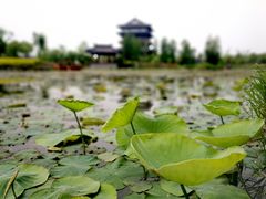 -董永七仙女文化园