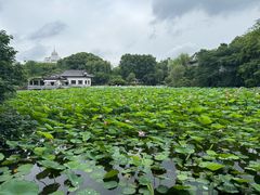 -范蠡湖公园