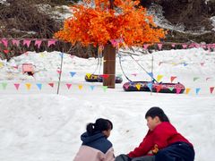 -少华山国家森林公园