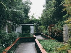 -广州神农草堂中医药博物馆