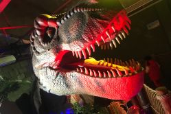 点击看大图 -恐龙探索乐园(磁器口店)