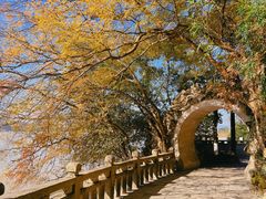 -江心屿景区