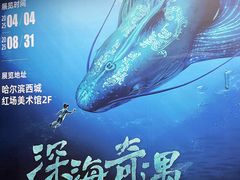 -哈尔滨西城红场