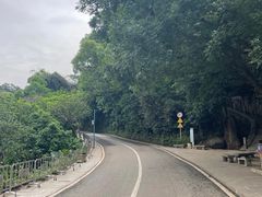 -梧桐山风景名胜区