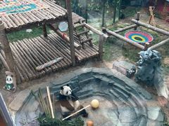 -大连森林动物园