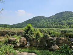 -中国茶叶博物馆(双峰馆区)
