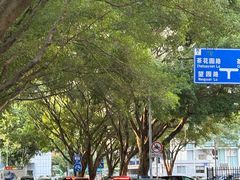 -南宁南湖公园