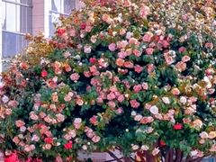 -长沙火车站(地铁站)