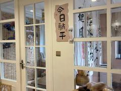 -楼上猫咖(罗湖店)